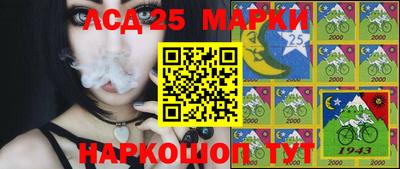 индика Владимир