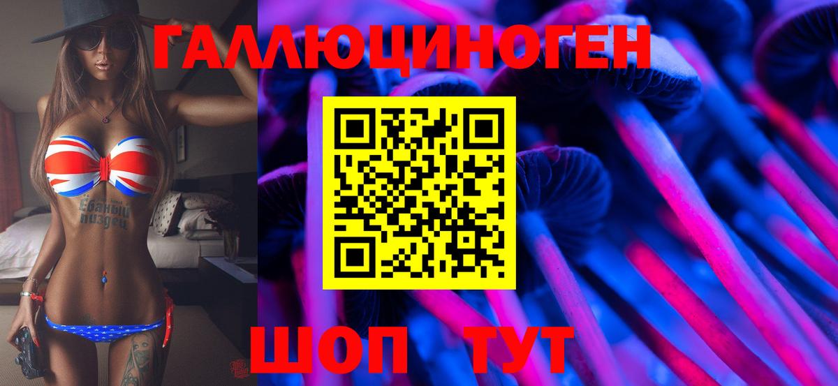Галлюциногенные грибы мицелий  Псилоцибиновые грибы Psilocybine cubensis  Вход с VPN  Прохладный 