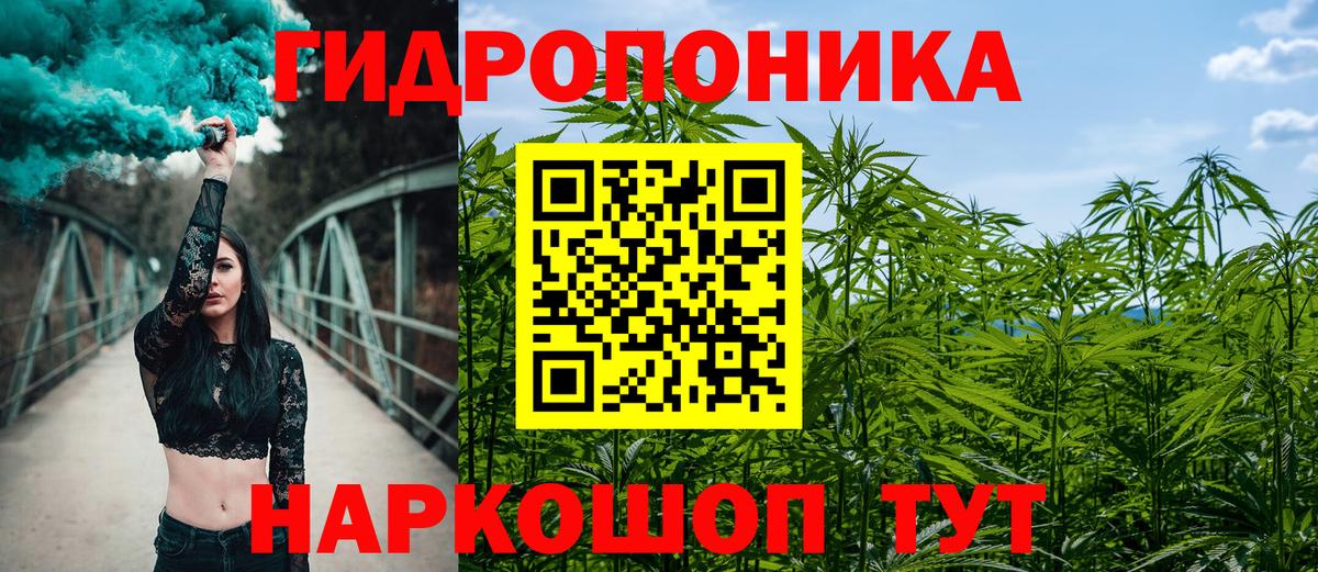 Марихуана OG Kush  Марихуана планчик  Марихуана сатива  Прохладный  Вход с VPN 
